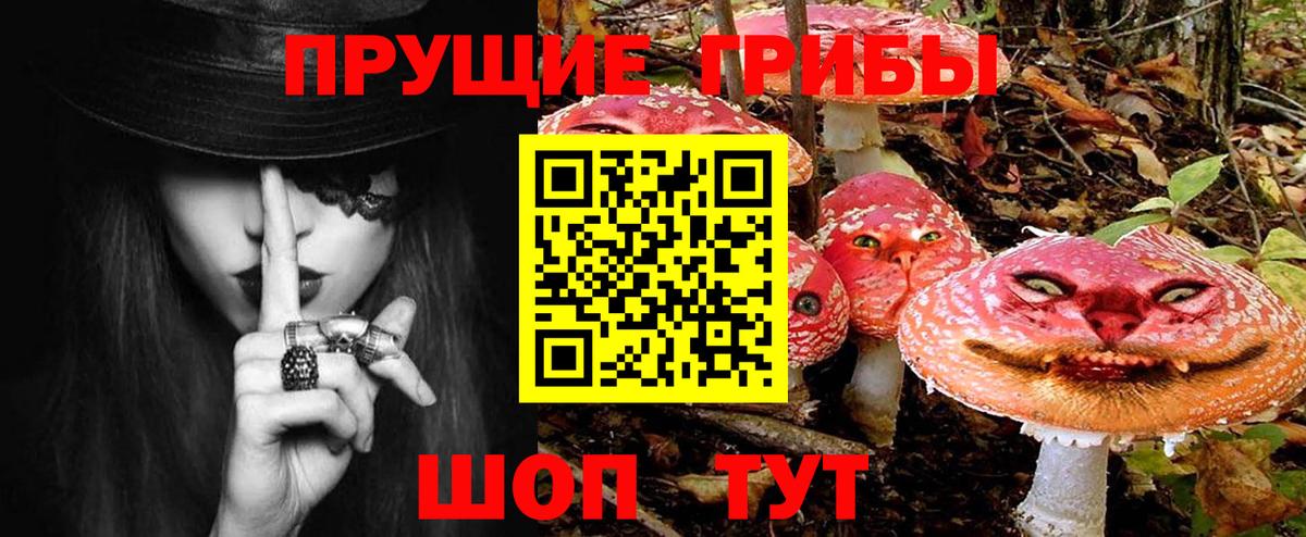 Галлюциногенные грибы прущие грибы  Вход с VPN  Усть-Джегута 