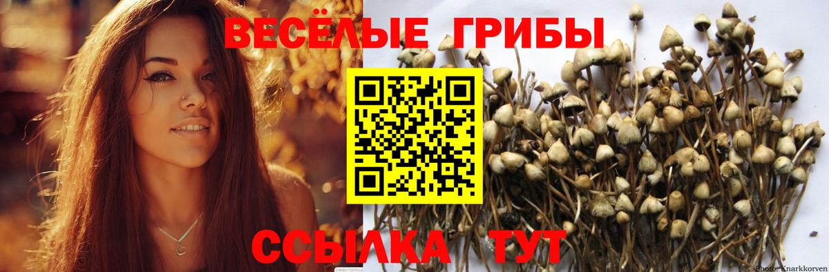 Галлюциногенные грибы ЛСД Усть-Джегута